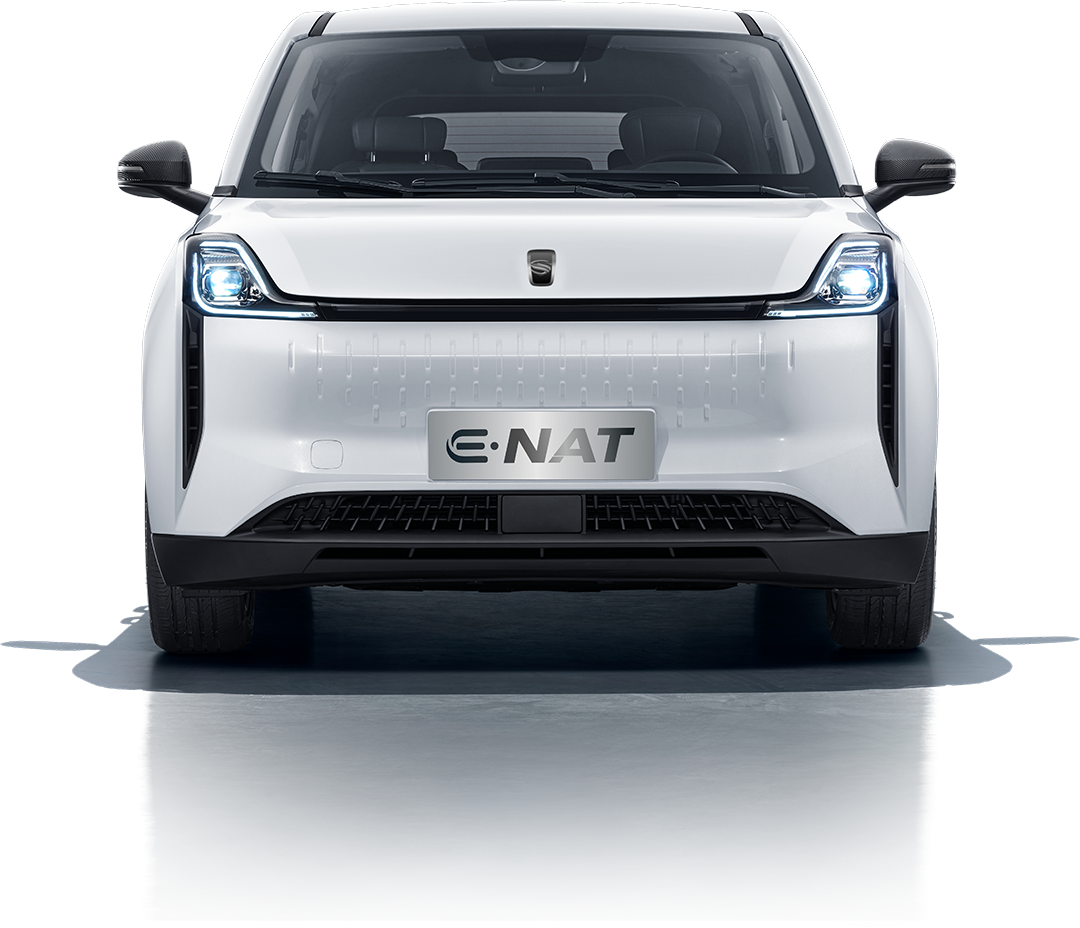 SEV - E-NAT